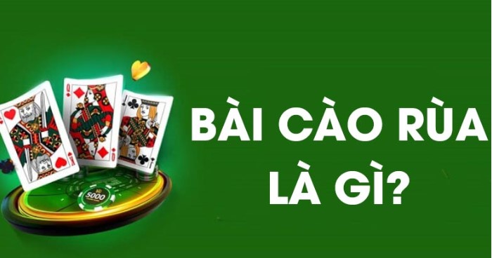 Bài Cào Rùa Online: Giới Thiệu Và Hướng Dẫn Chơi